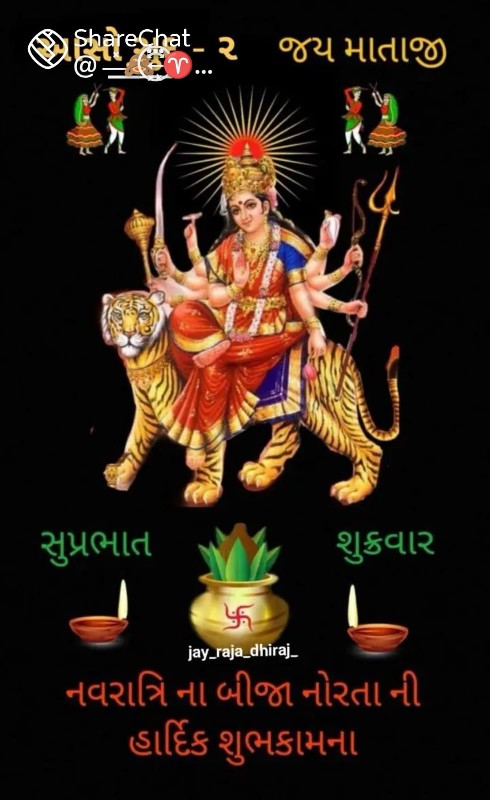 બગીચો વેચવાનો છ...