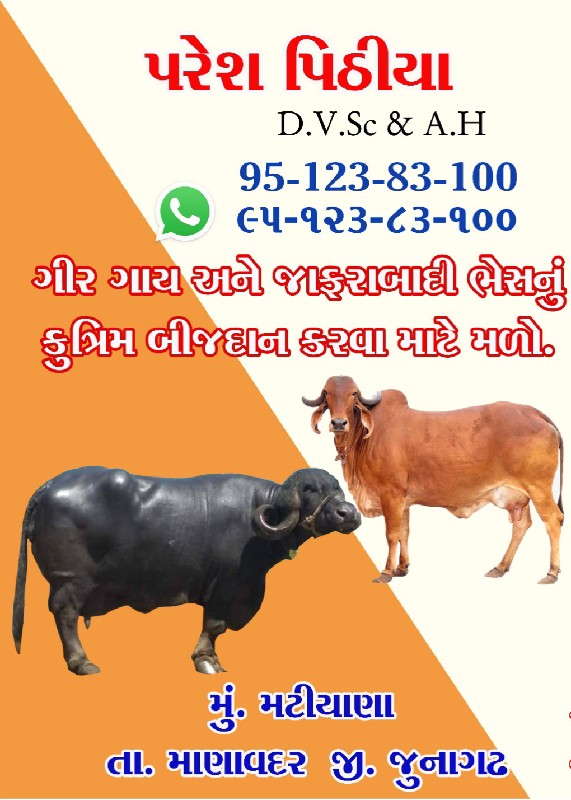 કૃત્રિમ બીજદાન...