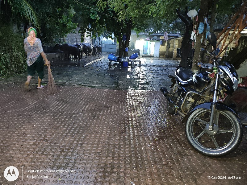 છાણીયું ખાતર