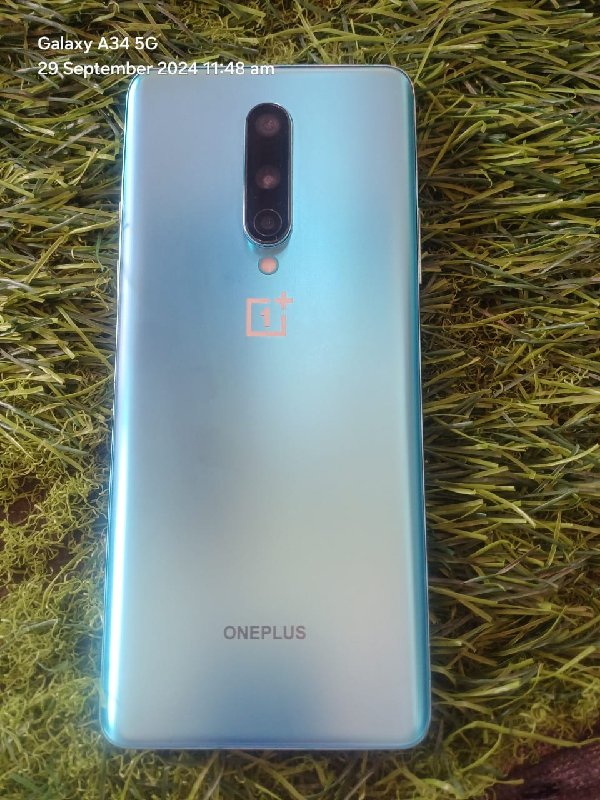 one plus 8