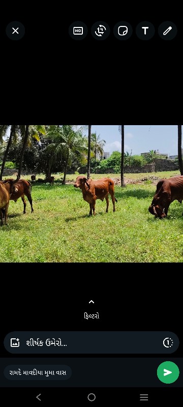 જમીન. પ્લોટ. દુ...