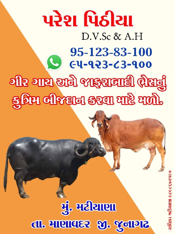 કૃત્રિમ બીજદાન...