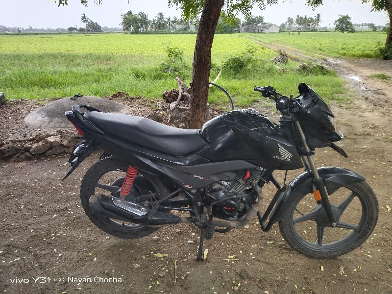 Honda Livo