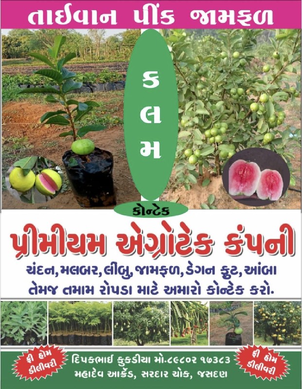 તમામ બાગાયતી રો...