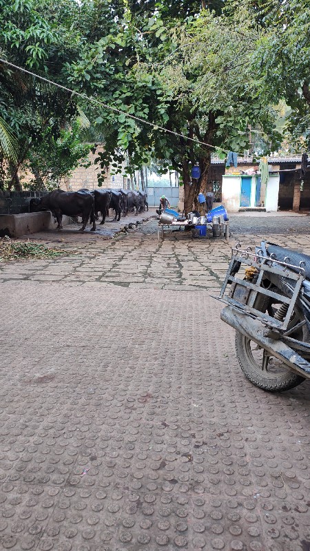 ખાતર વેચવા નું...