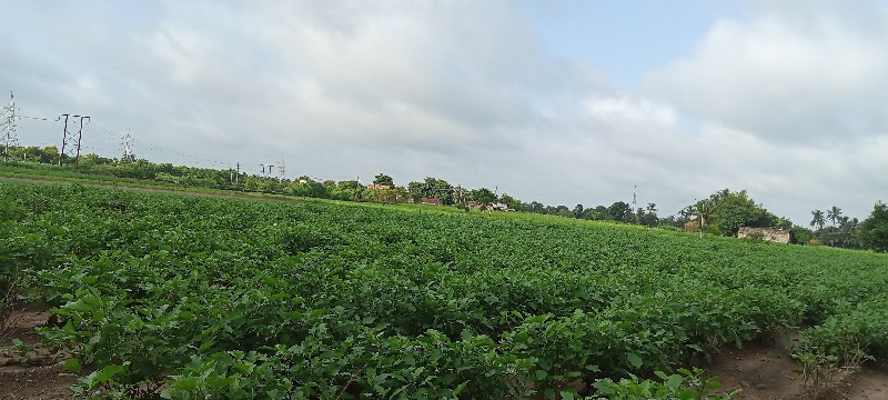 જમીન વેચવાની છે...