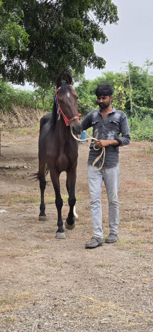 સાટા પન કરવા ના...