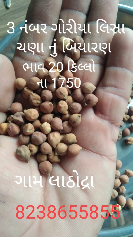 ચણા તથા ઘઉં નું...