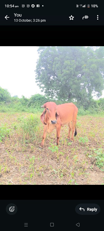 વેચવાની છે