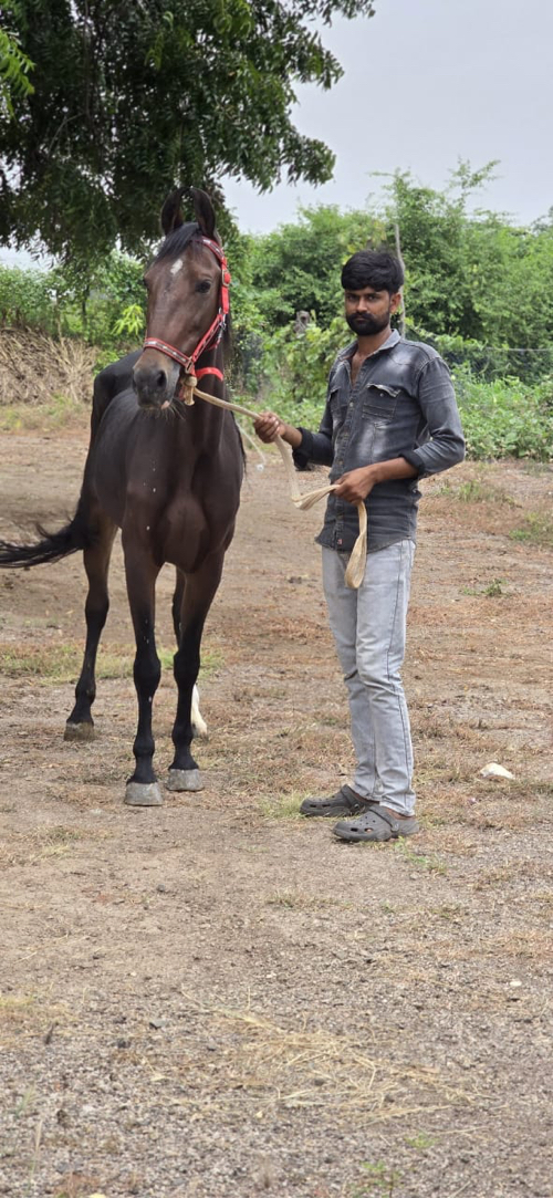 સાટા પન કરવા ના...