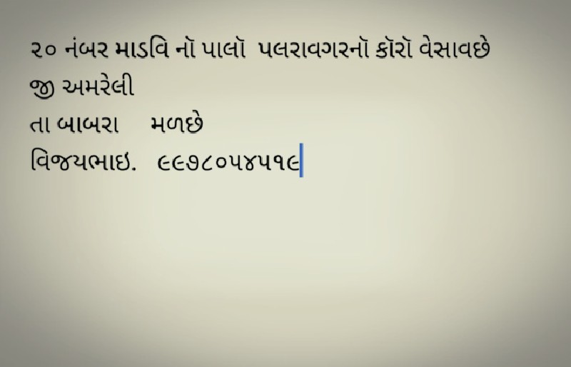 પાલૉ