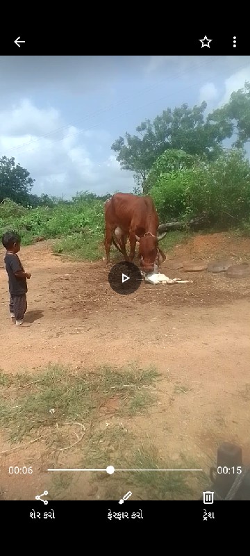 🐄 ગાયા વેચવાની...