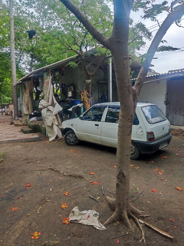 Maruti 800