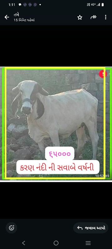 સારી બ્લડ લાઈનન...