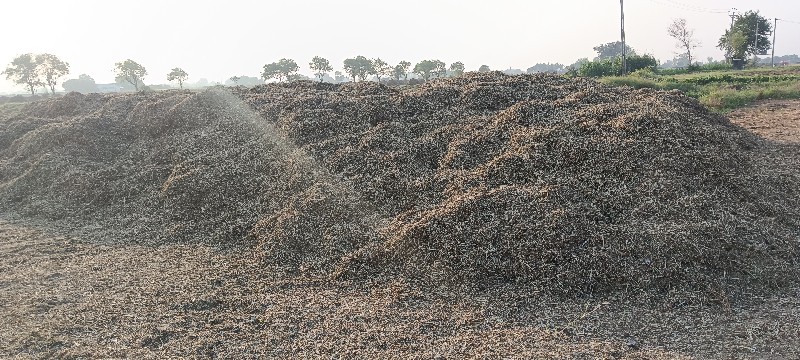 મગફળી નો ભૂકો