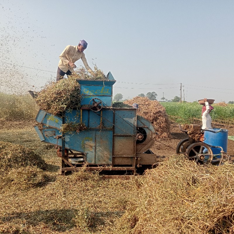 ઓપનેર નેસના નું...