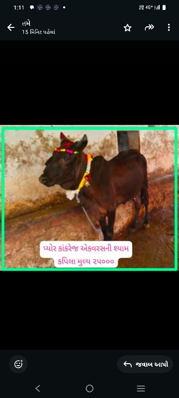 સારી બ્લડ લાઈનન...