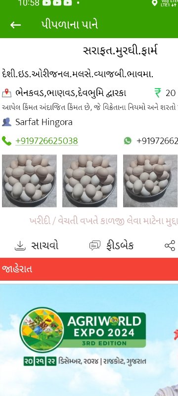 સરાફત.મુરઘી.ફાર...