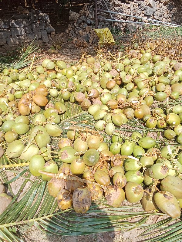 કોઈભાઈનેબઞીચોદે...