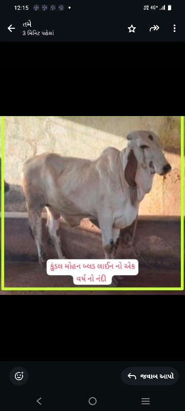 સારી બ્લડ લાઈન...