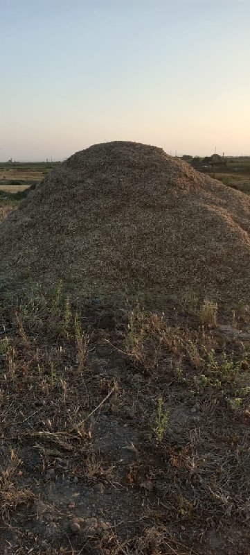 સોયાબીનો ડોસો