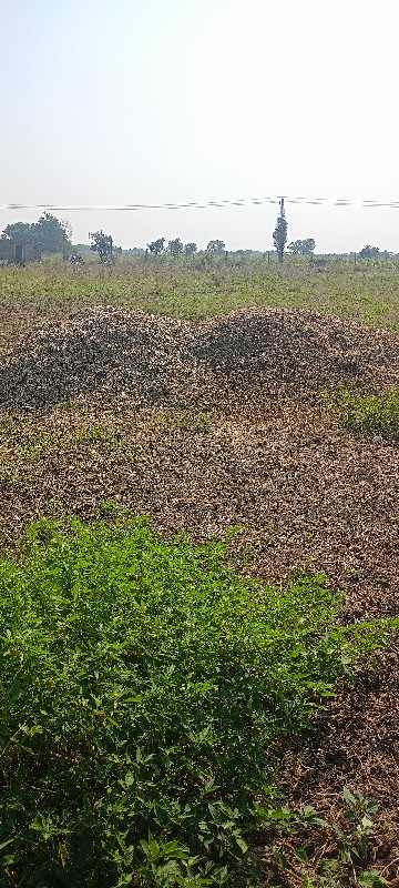 સોયાબીન નો ભૂકો...