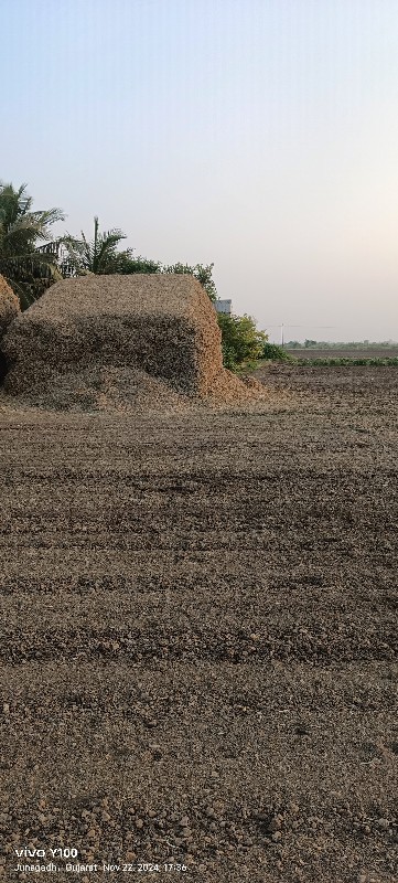 માંડવીનો પાલ વે...