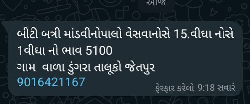 પાલો ભુકો માડવી...