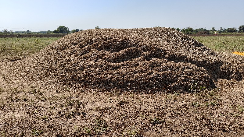 સોયાબીન નો ભુકો