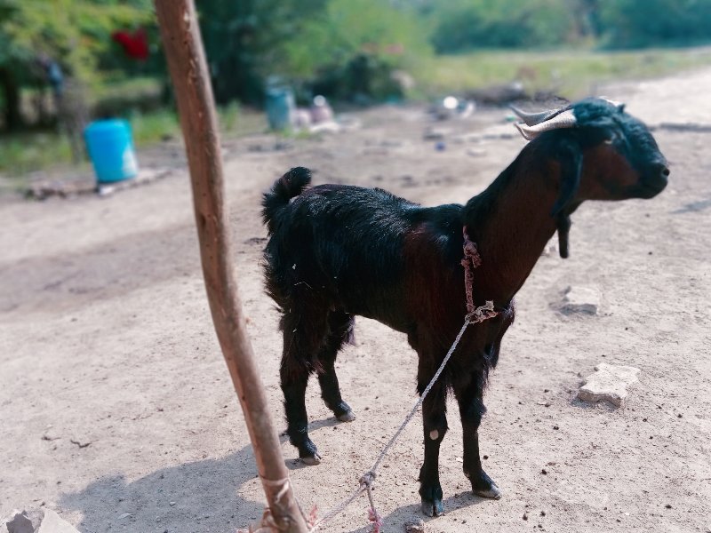 જુનાગઢ જીલ્લો ત...