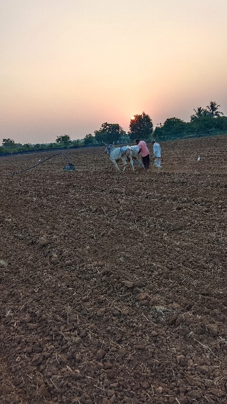 વેશવાના શે