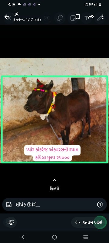 સારી બ્લડ લાઈનન...