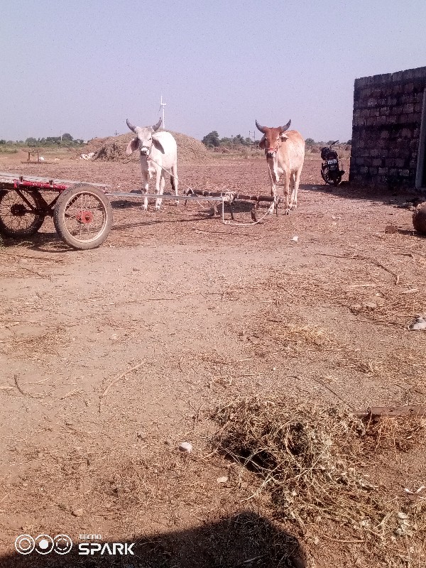 વેચવાનુછે