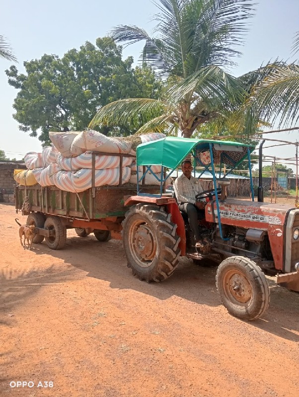 28 નંબર મગફળી ન...