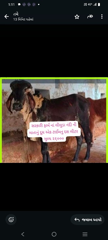 સારી બ્લડ લાઈનન...