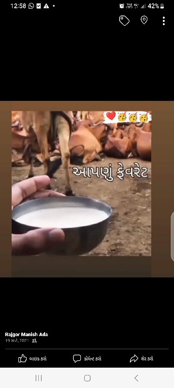 દેશી ગાય