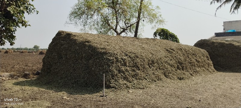 માંડવી નો ભૂકો