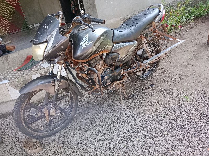 shine -125 cc