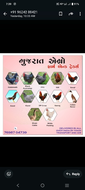 દેશી બચ્ચા