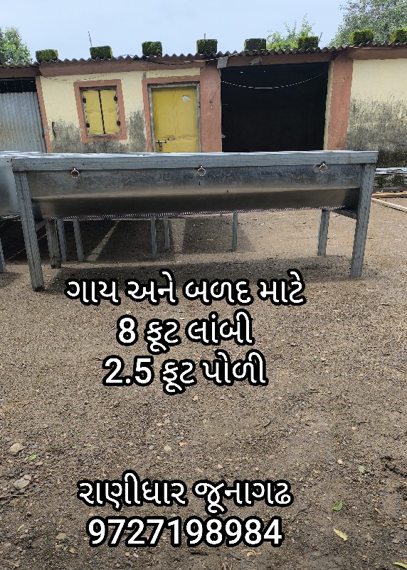 જારી વાળી ગમાણ