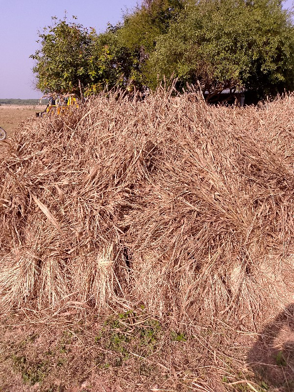 સાર વેચવાની સે