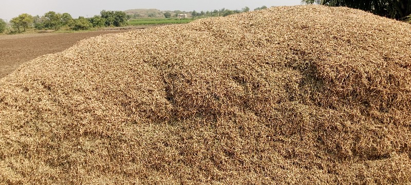 મંડવ્યું વેચવાન...