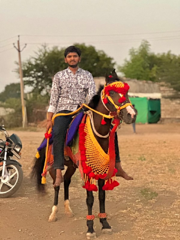 આ વસેરી વેસવાની...