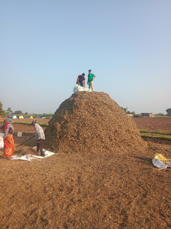 આ ભુકો વેચવાનો...