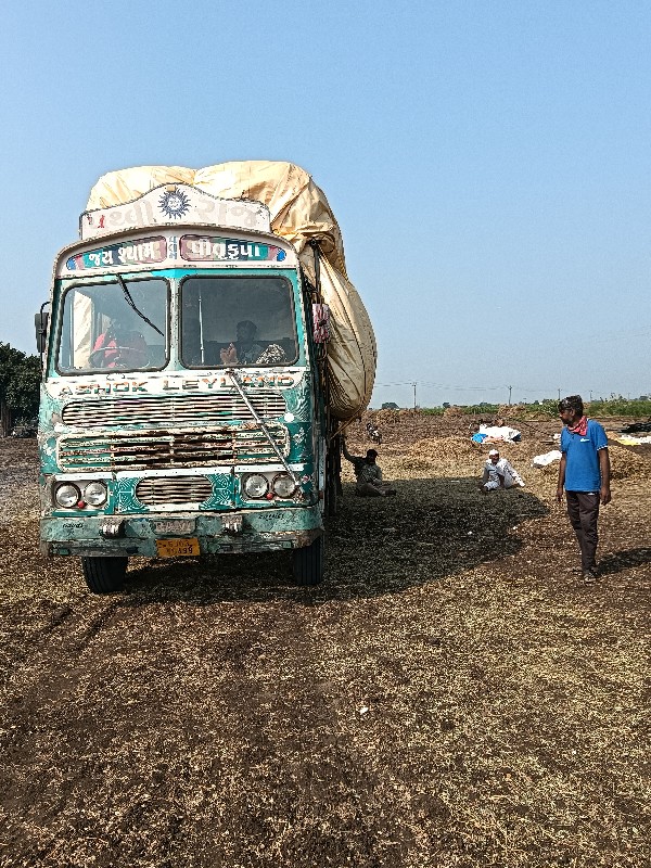 મગફળી નો પાલો...