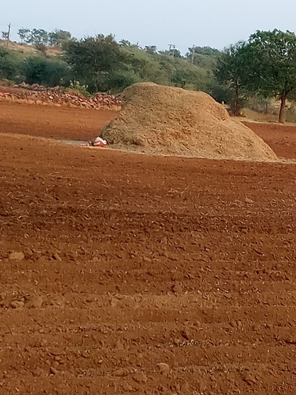 માડવીયુ વેચવાનુ...