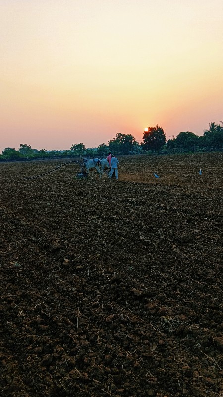 વેશવાના શે