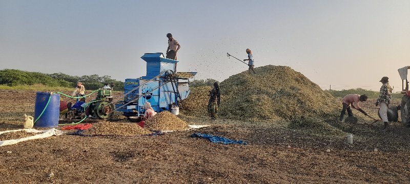 મગફળી નો એક્દમ...