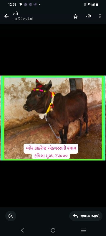 સારી બ્લડ લાઈનન...