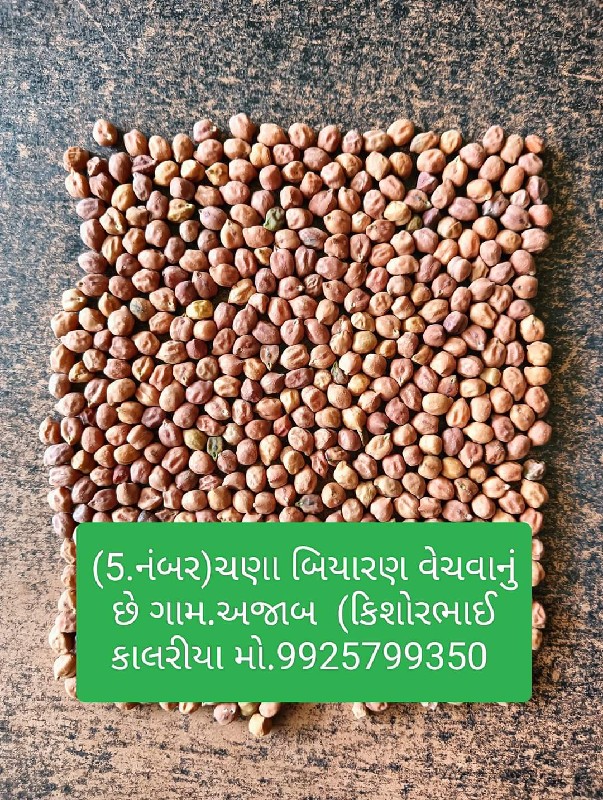 (3.નંબર)(5.નંબર...